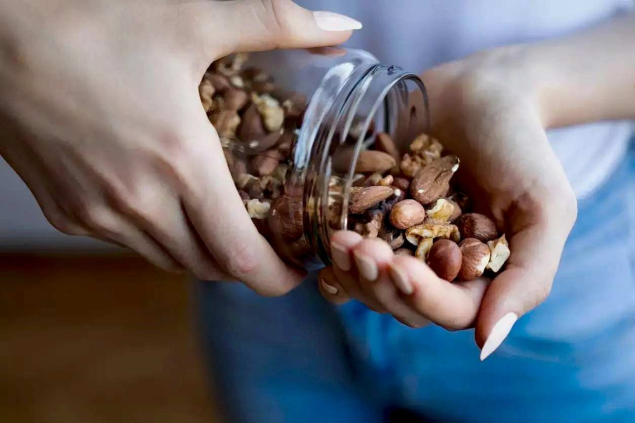 Diyet Sırasında Ara Öğünlerin Önemi